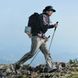 Трекінгова палиця Naturehike CNK2450DS016, 130 см, сіра 6927595791851 фото 2