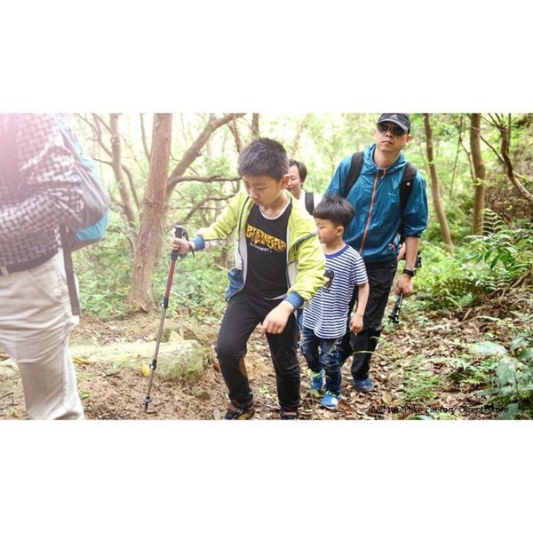 Трекінгова палиця 3-сек. Naturehike Women 6061 AL NH17D001-Z, 57-120 см, алюміній, зелена 6975641885573 фото