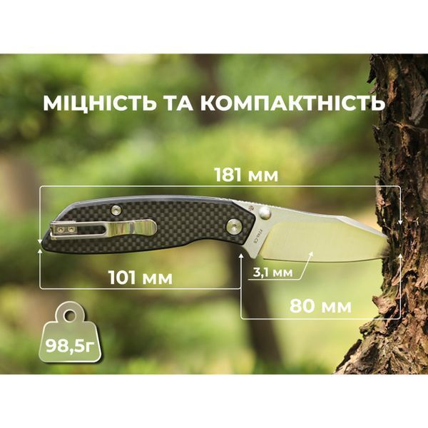 Ніж складаний туристичний Ruike P746-CB, (8 см) 14C28N / G10 чорний P746-CB фото