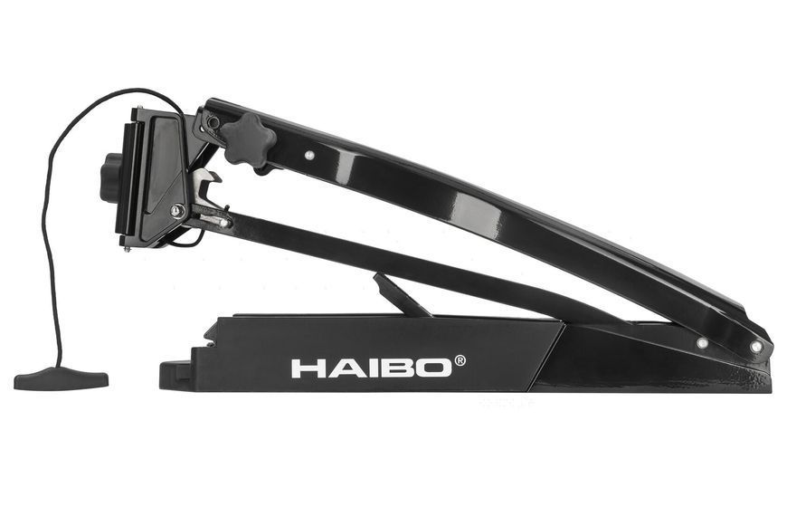 Електромотор Haibo WFT80DG (чорний) носовий 24В солона вода WFT80DG black фото