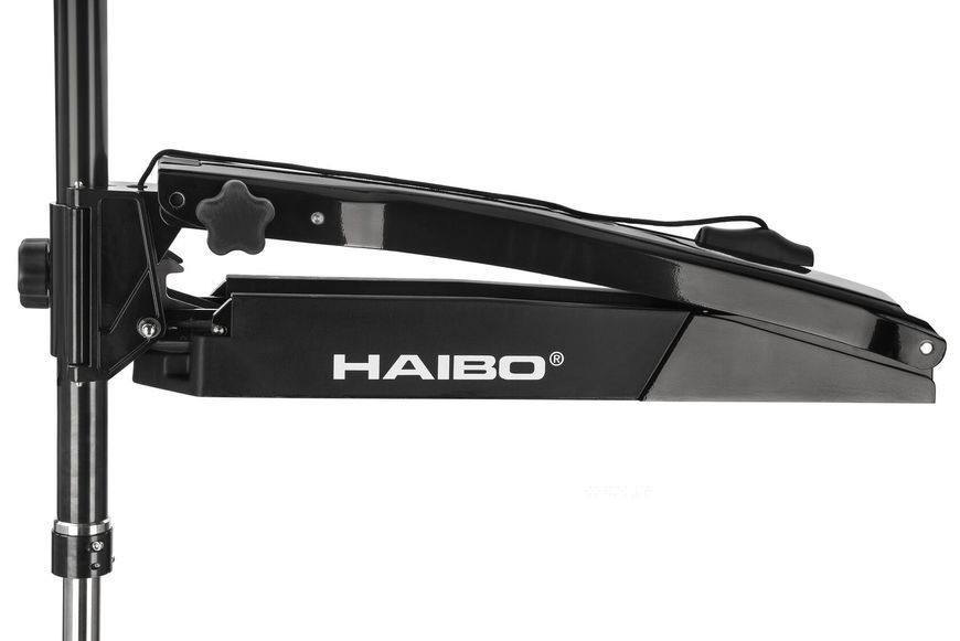 Електромотор Haibo WFT80DG (чорний) носовий 24В солона вода WFT80DG black фото