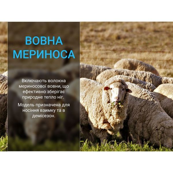 Шкарпетки Dexshell Terrain Walking 2.0 Socks, хакі, розмір XL (47-49) DS62406OLV-XL фото