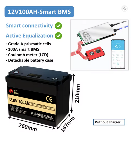 Літій-залізо-фосфатний акумулятор SJY LiFePO4 12V 100Ah (1280Wh) (BMS 100A) SJY100BASE фото